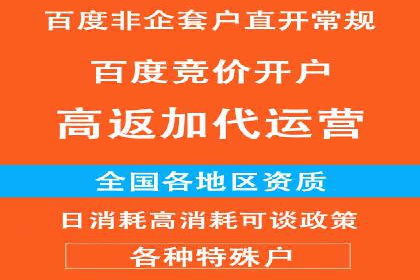 百度推广代理商服务优势案例分析